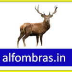 alfombras