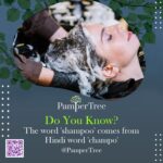 pampertree13